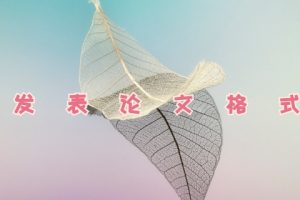 发表论文格式
