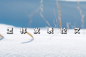怎样发表论文