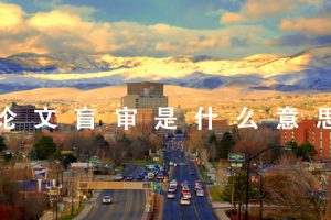 论文盲审是什么意思