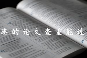 拼凑的论文查重能过吗