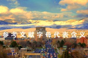 参考文献字母代表含义