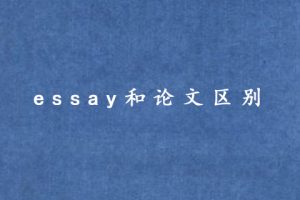 essay和论文区别