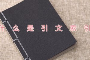 什么是引文索引