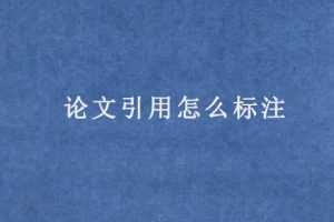 论文引用怎么标注
