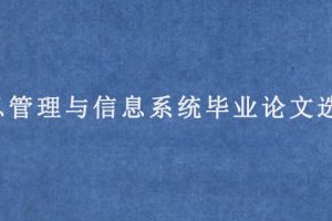 信息管理与信息系统毕业论文选题