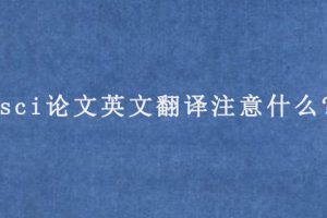 sci论文英文翻译注意什么?
