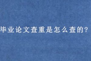 毕业论文查重是怎么查的?