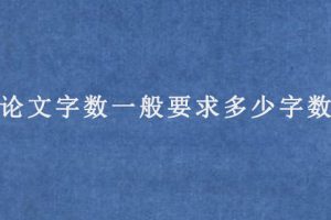 论文字数一般要求多少字数(一对一教你论文格式字数怎么写)