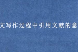 论文写作过程中引用文献的意义