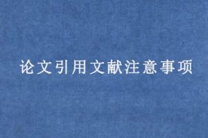 论文引用文献注意事项