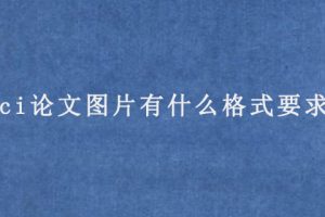 sci论文图片有什么格式要求?
