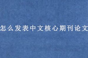 怎么发表中文核心期刊论文?