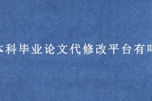 本科毕业论文代修改平台有吗?