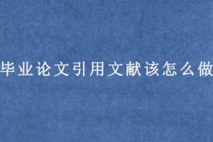 毕业论文引用文献该怎么做?
