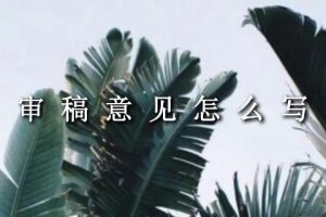 审稿意见怎么写