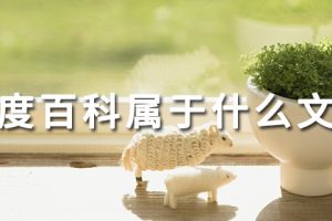 百度百科属于什么文献