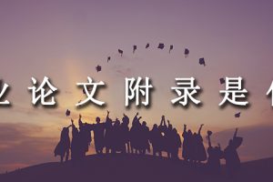 毕业论文附录是什么