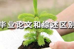 毕业论文和综述区别