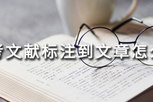 参考文献标注到文章怎么标