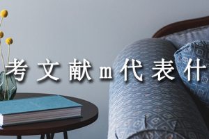 参考文献m代表什么