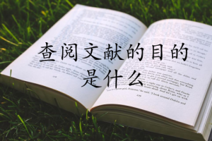 查阅文献的目的是什么