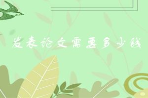 发表论文需要多少钱