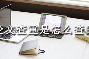 论文查重是怎么查的