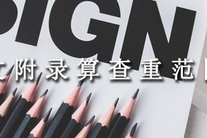 论文附录算查重范围吗