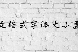 论文格式字体大小要求