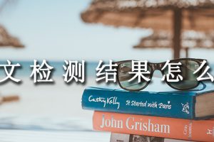 论文检测结果怎么看