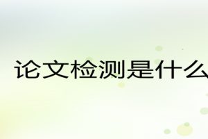 论文检测是什么