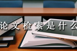 论文检索是什么