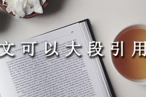 论文可以大段引用吗