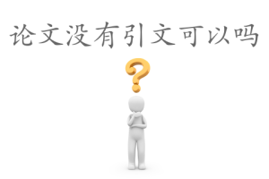 论文没有引文可以吗