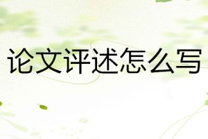 论文评述怎么写