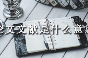 论文文献是什么意思
