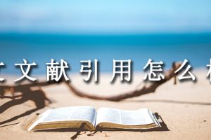 论文文献引用怎么标注