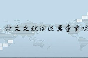 论文文献综述要查重吗