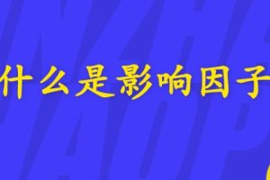 什么是影响因子