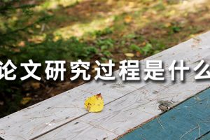 论文研究过程是什么