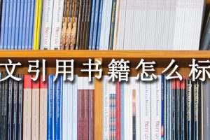 论文引用书籍怎么标注