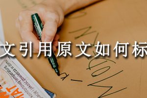 论文引用原文如何标注