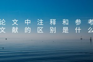 论文中注释和参考文献的区别是什么