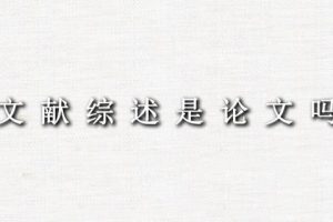 文献综述是论文吗