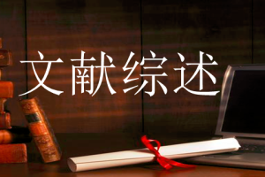 写论文时，怎样收集文献综述资料