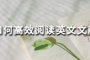 如何高效阅读英文文献