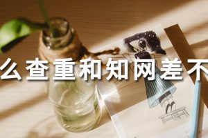 什么查重和知网差不多