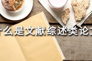 什么是文献综述类论文