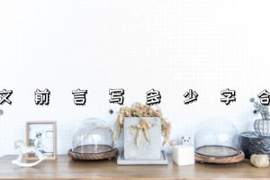 论文前言写多少字合适