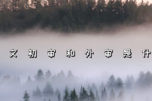 论文初审和外审是什么